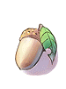 Acorn