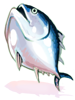 Tuna [0]