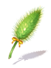 Beginner Foxtail Staff [1]