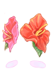 Costume Hibiscus [0]