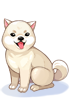 Costume: Kishu Inu [0]