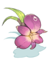 Orchid Hairband [0]
