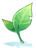 Emerald Leaf