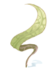 Soft Leaf