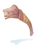 Rotten Rope