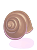 Snail