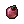 Sap Jelly