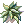 Samanbaia