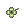 Four Leaf Clover In Mouth [0]