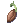 Seed For Experiemnt
