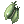 Silvervine Fruit