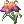 Mysterious Flower