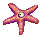 Aster
