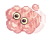 Noxious