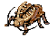 Golden Thief Bug