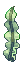 Seaweed