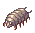 Maggot