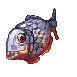 Swift Piranha