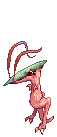 Elusive Novus