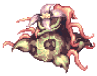 Solid Mandragora
